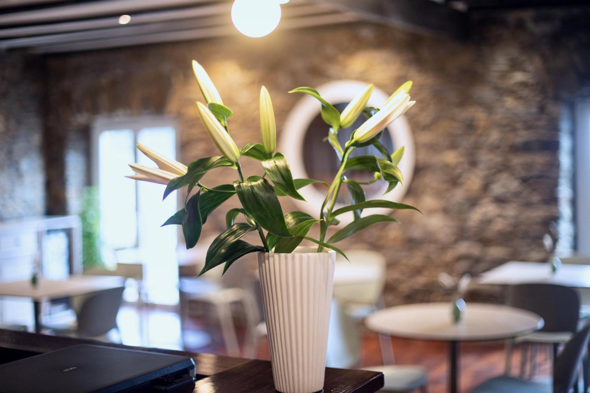 Katrapona Hotel Getaria Ngoại thất bức ảnh